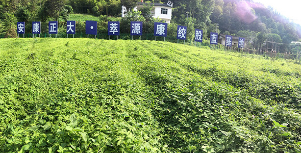 1661742496766309.jpg about2.jpg